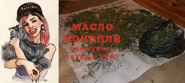гидра Каменногорск
