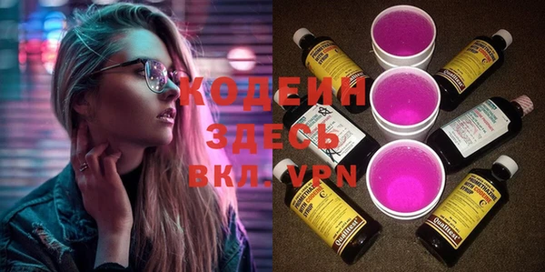 шишки Инта