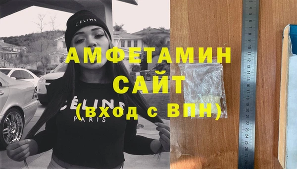 гидра Каменногорск
