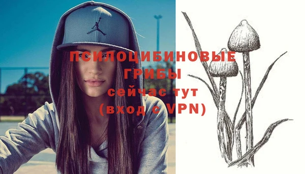 гидра Каменногорск