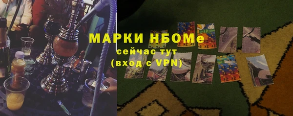 гидра Каменногорск