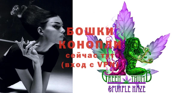 эйфоретик Иннополис