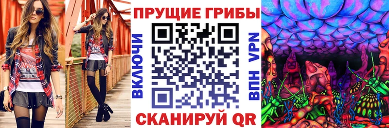 Купить Югорск Галлюциногенные грибы ЛСД